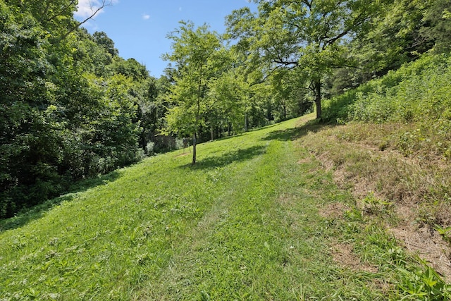 2864 Sycamore Valley Rd, Pleasant Shade, TN 37145 - photo 16