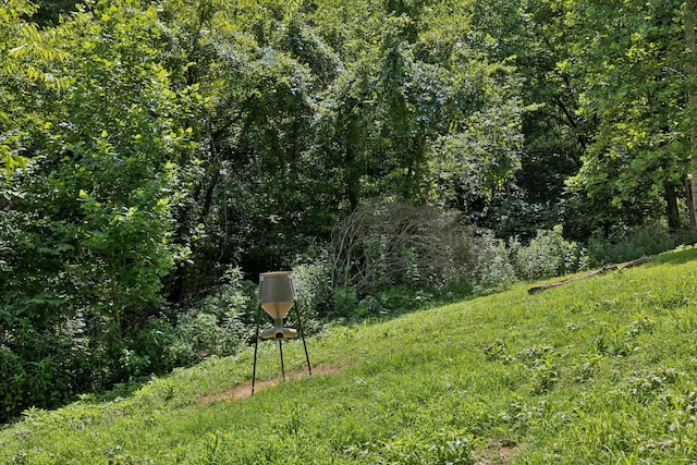 2864 Sycamore Valley Rd, Pleasant Shade, TN 37145 - photo 10