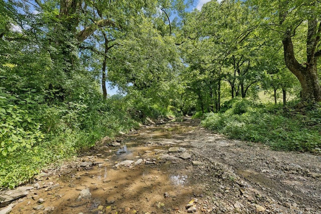 2864 Sycamore Valley Rd, Pleasant Shade, TN 37145 - photo 24