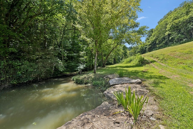 2864 Sycamore Valley Rd, Pleasant Shade, TN 37145 - photo 21