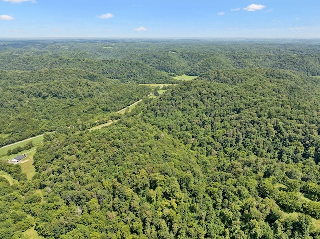 2864 Sycamore Valley Rd, Pleasant Shade, TN 37145 - photo 34