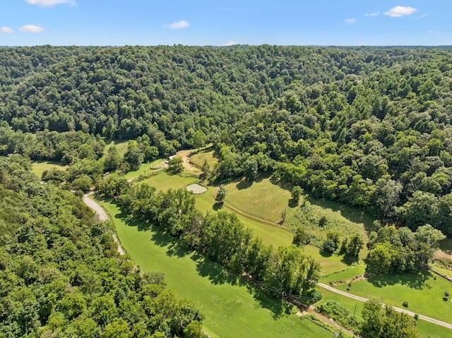 2864 Sycamore Valley Rd, Pleasant Shade, TN 37145 - photo 36