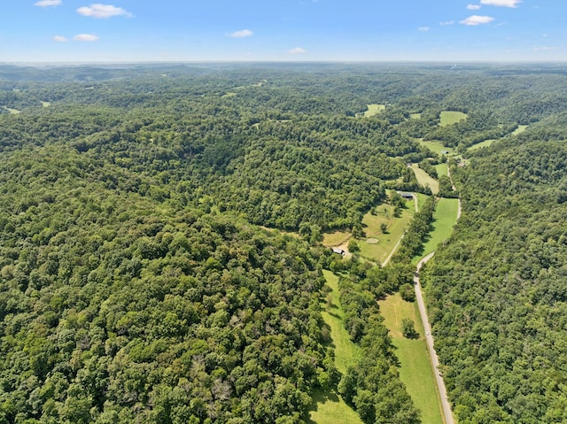 2864 Sycamore Valley Rd, Pleasant Shade, TN 37145 - photo 42