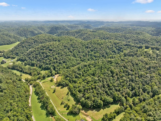 2864 Sycamore Valley Rd, Pleasant Shade, TN 37145 - photo 33