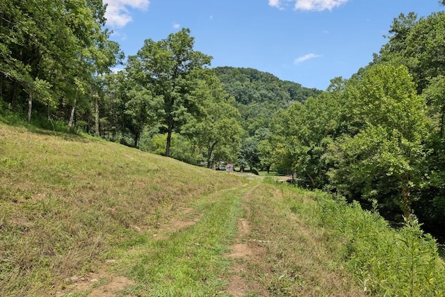 2864 Sycamore Valley Rd, Pleasant Shade, TN 37145 - photo 18