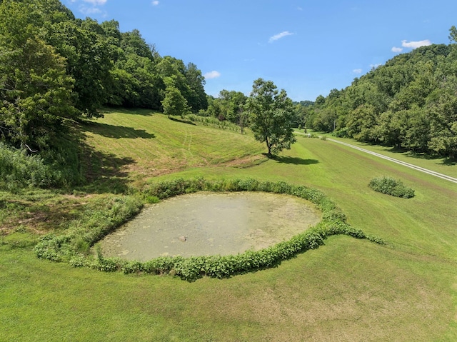 2864 Sycamore Valley Rd, Pleasant Shade, TN 37145 - photo 7