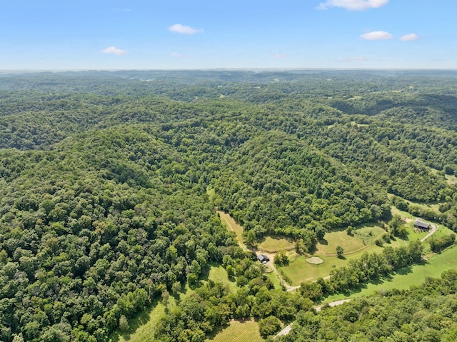 2864 Sycamore Valley Rd, Pleasant Shade, TN 37145 - photo 38
