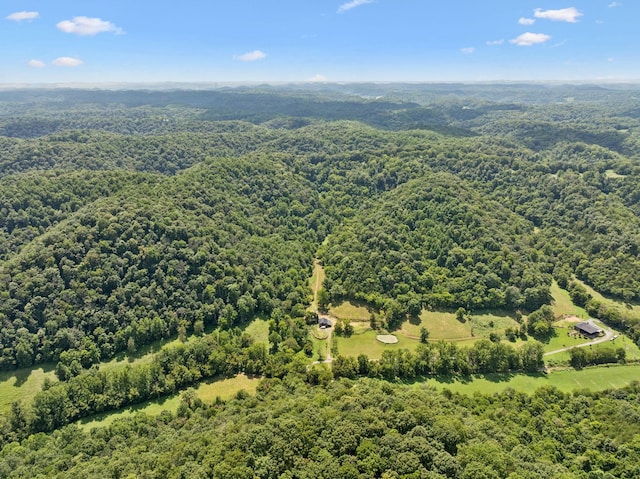 2864 Sycamore Valley Rd, Pleasant Shade, TN 37145 - photo 32