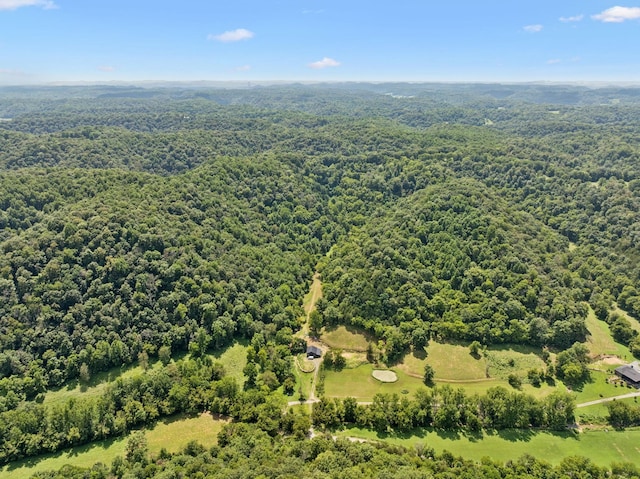 2864 Sycamore Valley Rd, Pleasant Shade, TN 37145 - photo 40