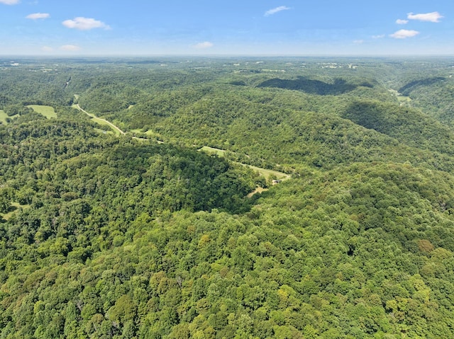 2864 Sycamore Valley Rd, Pleasant Shade, TN 37145 - photo 30