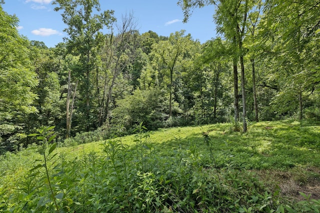 2864 Sycamore Valley Rd, Pleasant Shade, TN 37145 - photo 14