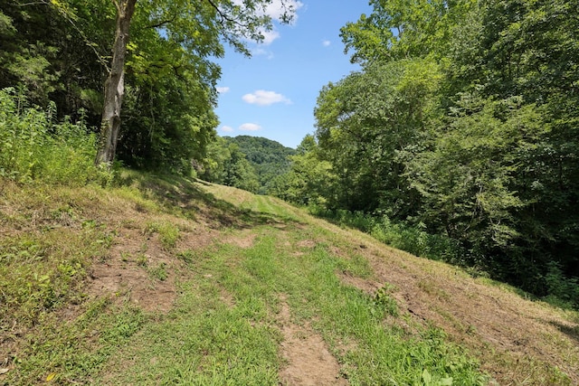 2864 Sycamore Valley Rd, Pleasant Shade, TN 37145 - photo 17