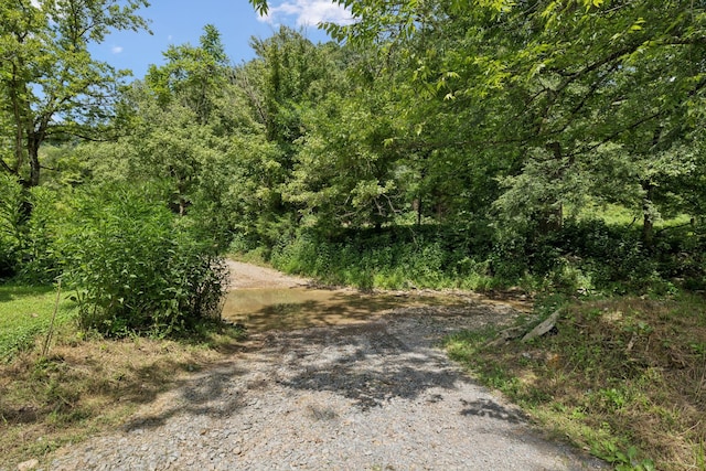 2864 Sycamore Valley Rd, Pleasant Shade, TN 37145 - photo 23