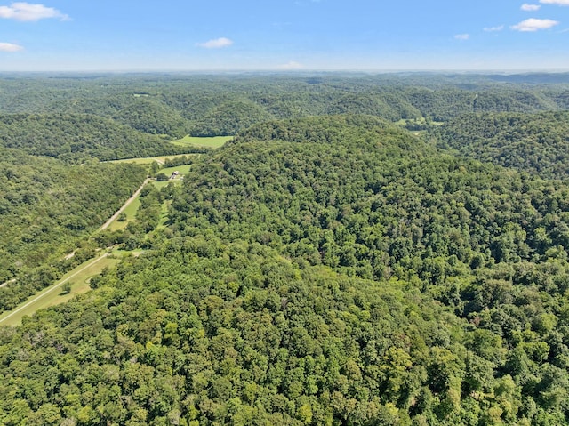 2864 Sycamore Valley Rd, Pleasant Shade, TN 37145 - photo 35
