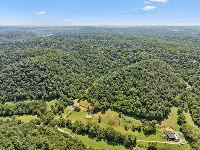 2864 Sycamore Valley Rd, Pleasant Shade, TN 37145 - photo 41