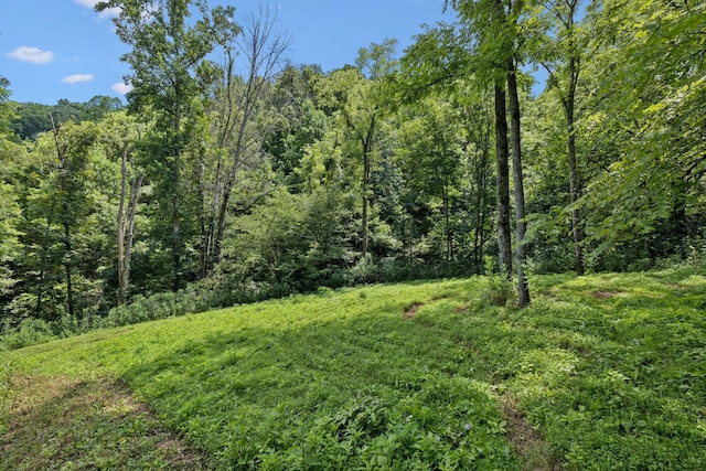 2864 Sycamore Valley Rd, Pleasant Shade, TN 37145 - photo 12