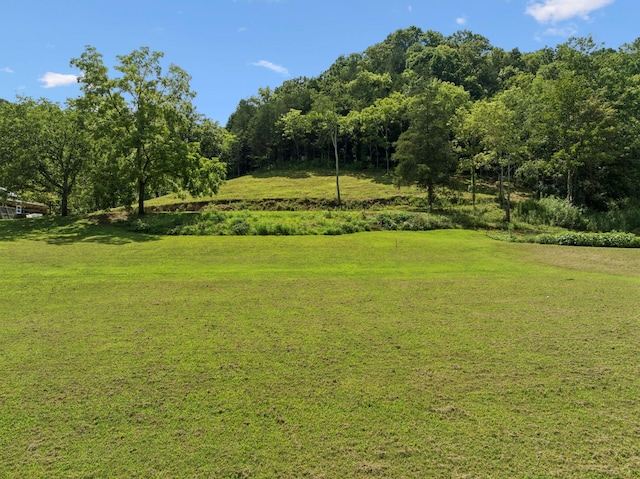 2864 Sycamore Valley Rd, Pleasant Shade, TN 37145 - photo 37