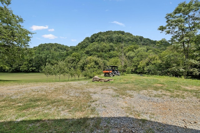 2864 Sycamore Valley Rd, Pleasant Shade, TN 37145 - photo 22