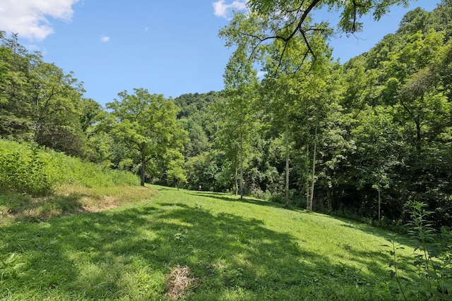 2864 Sycamore Valley Rd, Pleasant Shade, TN 37145 - photo 15