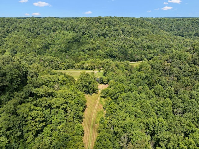2864 Sycamore Valley Rd, Pleasant Shade, TN 37145 - photo 31