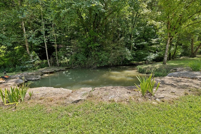 2864 Sycamore Valley Rd, Pleasant Shade, TN 37145 - photo 19