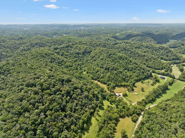 2864 Sycamore Valley Rd, Pleasant Shade, TN 37145 - photo 39