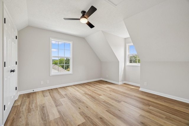 204 Phillip Dr, Springfield, TN 37172 - photo 24