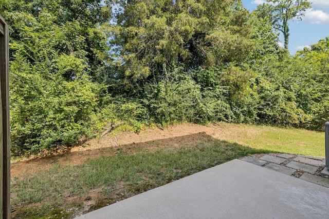 2541 Napa Valley Way, Columbia, TN 38401 - photo 39