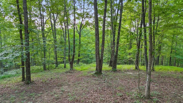103 Turkey Trl, Dunlap, TN 37327 - photo 67