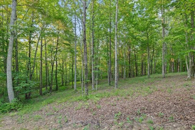 103 Turkey Trl, Dunlap, TN 37327 - photo 64