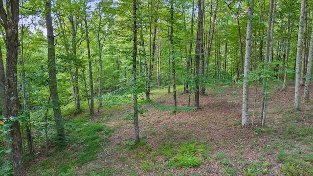 103 Turkey Trl, Dunlap, TN 37327 - photo 66