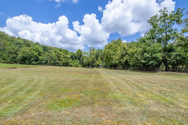 1816 Old Beech Creek Rd, Waynesboro, TN 38485 - photo 54