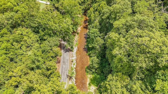 1816 Old Beech Creek Rd, Waynesboro, TN 38485 - photo 4