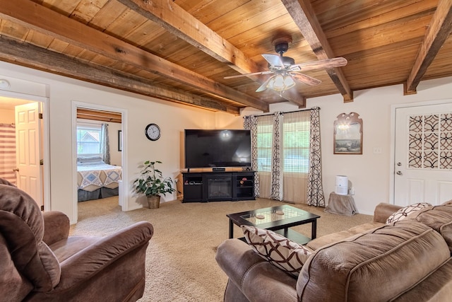 1816 Old Beech Creek Rd, Waynesboro, TN 38485 - photo 18