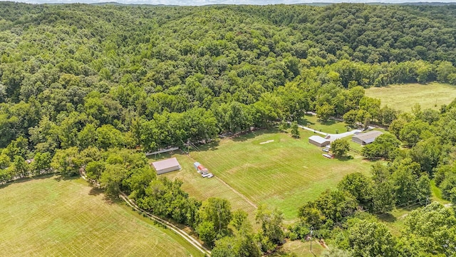 1816 Old Beech Creek Rd, Waynesboro, TN 38485 - photo 80