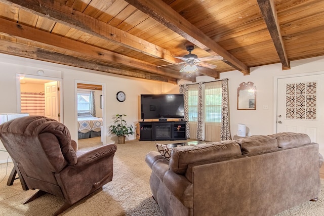 1816 Old Beech Creek Rd, Waynesboro, TN 38485 - photo 19