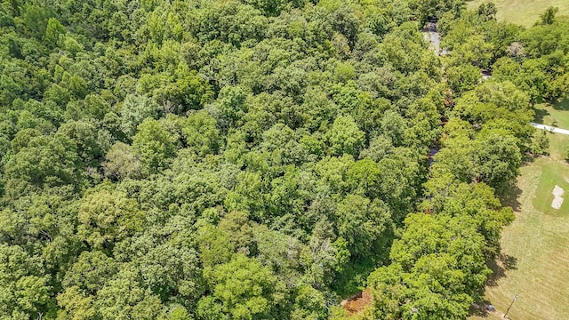 1816 Old Beech Creek Rd, Waynesboro, TN 38485 - photo 73