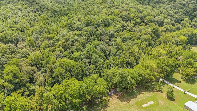 1816 Old Beech Creek Rd, Waynesboro, TN 38485 - photo 81