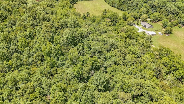 1816 Old Beech Creek Rd, Waynesboro, TN 38485 - photo 69
