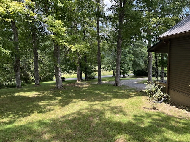 2460 Little Bartons Creek Rd, Cumberland Furnace, TN 37051 - photo 4