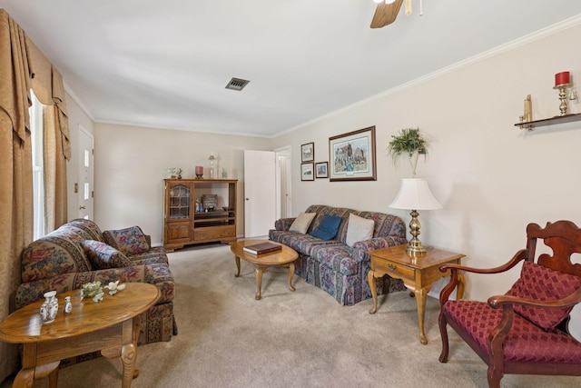 413 Hilltop Dr, Columbia, TN 38401 - photo 8