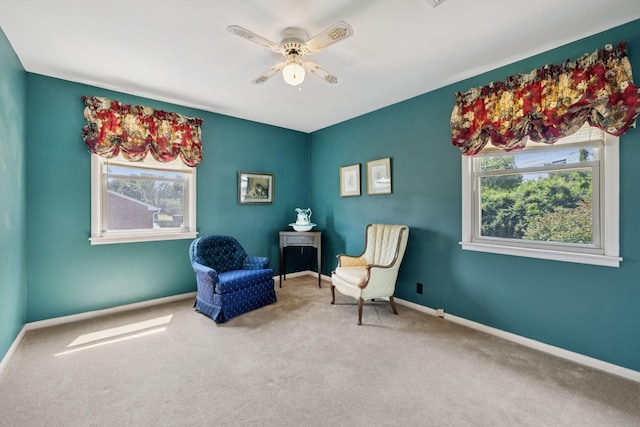 413 Hilltop Dr, Columbia, TN 38401 - photo 25