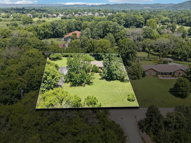 1214 Hunters Trail Dr, Franklin, TN 37069 - photo 1