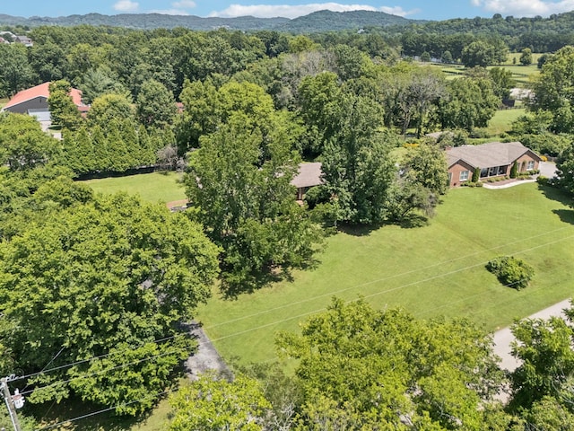 1214 Hunters Trail Dr, Franklin, TN 37069 - photo 26