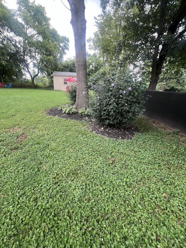 217 Chestnut Dr, Shelbyville, TN 37160 - photo 9