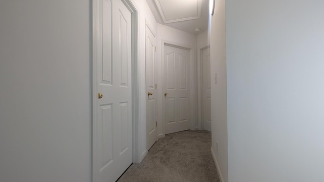 1904 Moon Ct, La Vergne, TN 37086 - photo 12