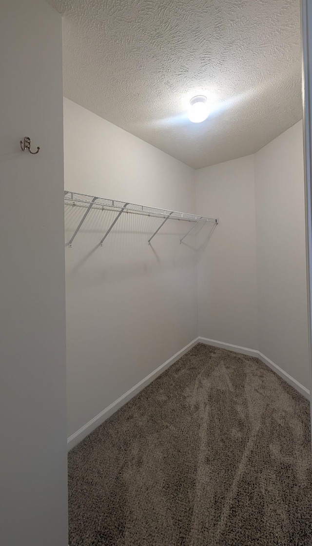 1904 Moon Ct, La Vergne, TN 37086 - photo 15