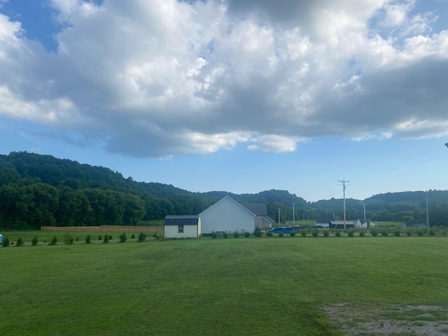 3058 Tunnell Hill Rd, Cornersville, TN 37047 - photo 5