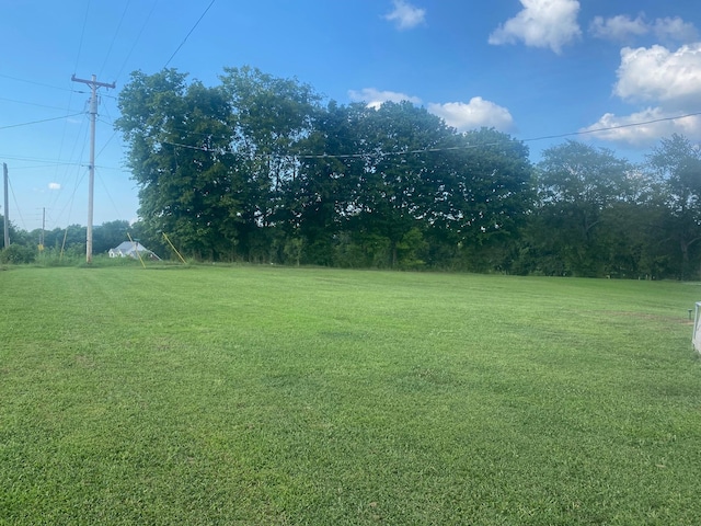 3058 Tunnell Hill Rd, Cornersville, TN 37047 - photo 19