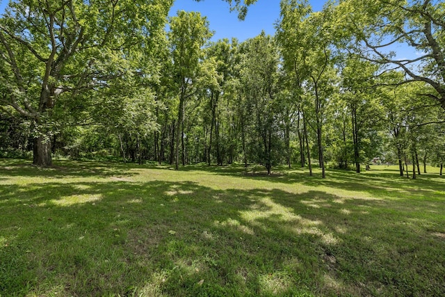 670 Northridge Rd, Columbia, TN 38401 - photo 40